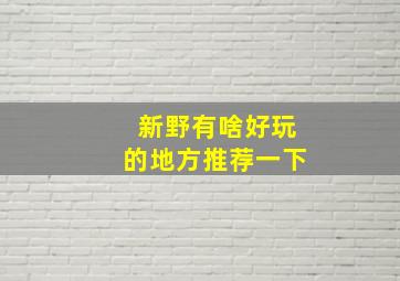 新野有啥好玩的地方推荐一下