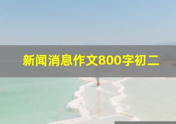 新闻消息作文800字初二