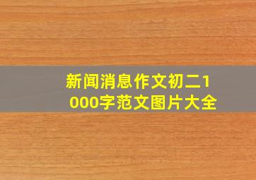 新闻消息作文初二1000字范文图片大全