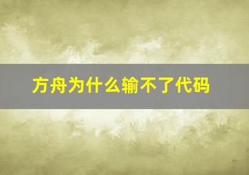 方舟为什么输不了代码