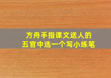 方舟手指课文送人的五官中选一个写小练笔