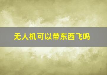 无人机可以带东西飞吗