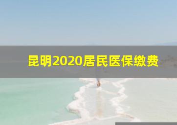 昆明2020居民医保缴费