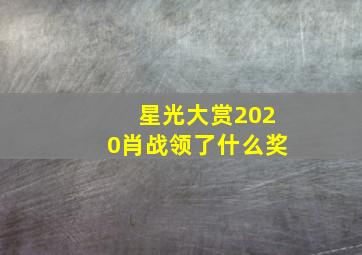 星光大赏2020肖战领了什么奖