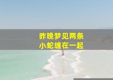 昨晚梦见两条小蛇缠在一起