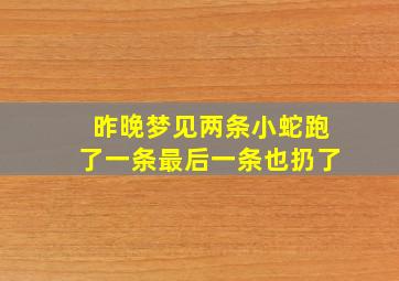 昨晚梦见两条小蛇跑了一条最后一条也扔了