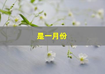 是一月份