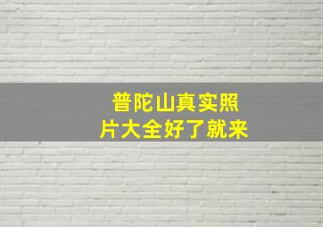 普陀山真实照片大全好了就来