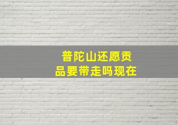 普陀山还愿贡品要带走吗现在