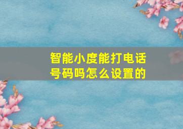 智能小度能打电话号码吗怎么设置的