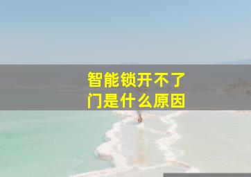 智能锁开不了门是什么原因