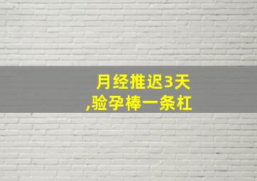 月经推迟3天,验孕棒一条杠