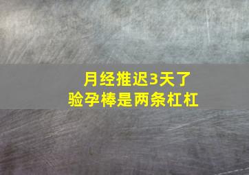 月经推迟3天了验孕棒是两条杠杠