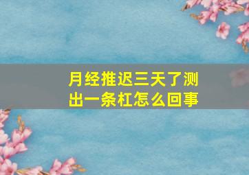 月经推迟三天了测出一条杠怎么回事