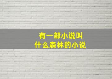 有一部小说叫什么森林的小说