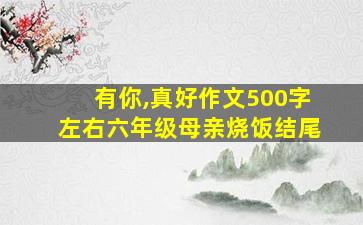 有你,真好作文500字左右六年级母亲烧饭结尾