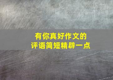 有你真好作文的评语简短精辟一点