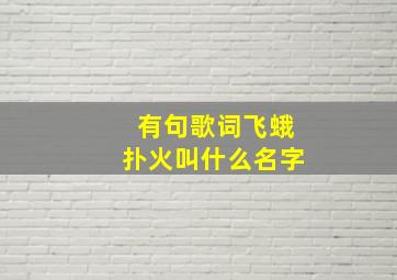 有句歌词飞蛾扑火叫什么名字