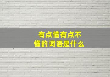 有点懂有点不懂的词语是什么