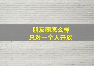 朋友圈怎么样只对一个人开放