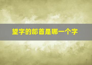 望字的部首是哪一个字