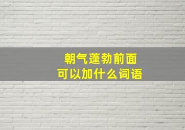 朝气蓬勃前面可以加什么词语