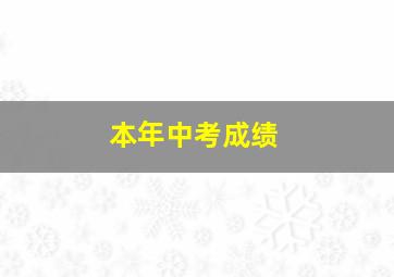 本年中考成绩