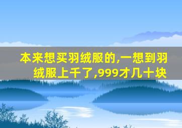 本来想买羽绒服的,一想到羽绒服上千了,999才几十块