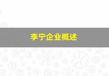 李宁企业概述