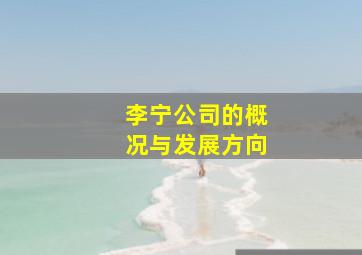 李宁公司的概况与发展方向