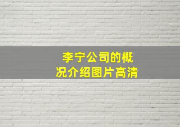 李宁公司的概况介绍图片高清