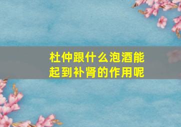 杜仲跟什么泡酒能起到补肾的作用呢