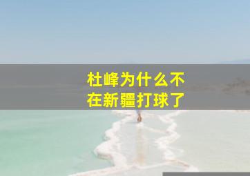 杜峰为什么不在新疆打球了