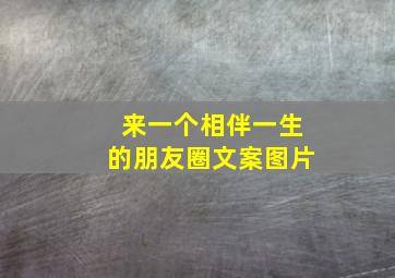 来一个相伴一生的朋友圈文案图片