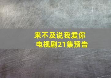 来不及说我爱你电视剧21集预告