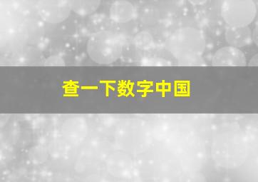 查一下数字中国