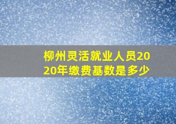 柳州灵活就业人员2020年缴费基数是多少