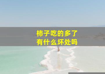 柿子吃的多了有什么坏处吗