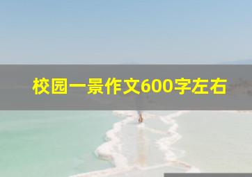 校园一景作文600字左右