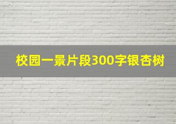 校园一景片段300字银杏树