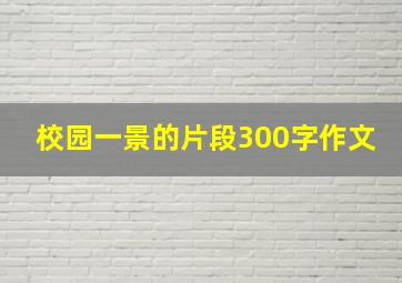 校园一景的片段300字作文