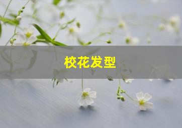 校花发型