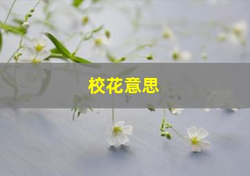 校花意思