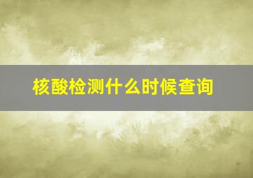 核酸检测什么时候查询