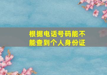 根据电话号码能不能查到个人身份证