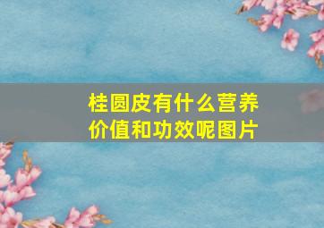 桂圆皮有什么营养价值和功效呢图片