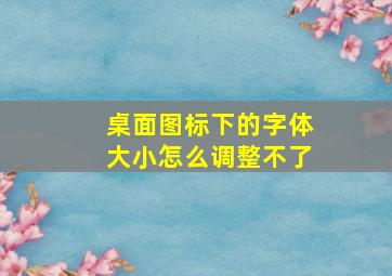 桌面图标下的字体大小怎么调整不了