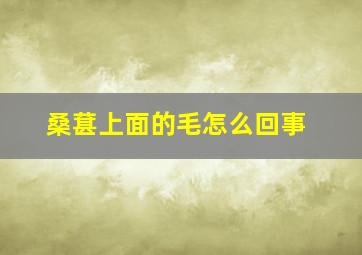 桑葚上面的毛怎么回事