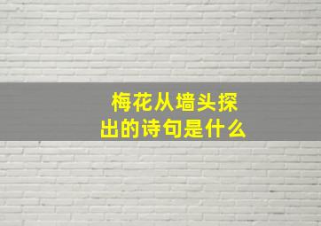 梅花从墙头探出的诗句是什么