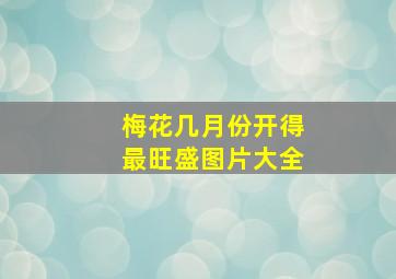 梅花几月份开得最旺盛图片大全